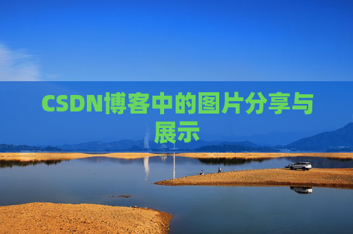 CSDN博客中的图片分享与展示